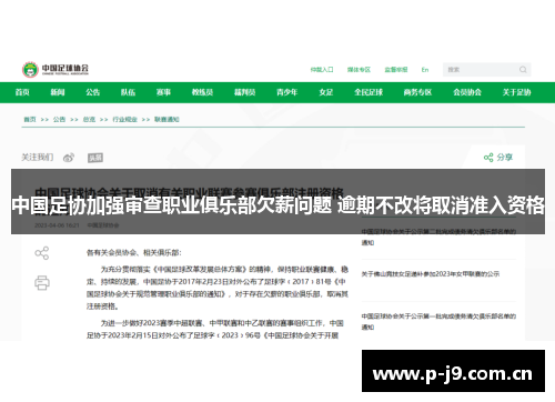 中国足协加强审查职业俱乐部欠薪问题 逾期不改将取消准入资格 中国足协加强审查职业俱乐部欠薪问题 逾期不改将取消准入资格